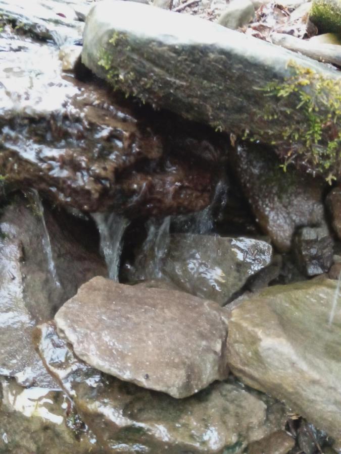 Sadyba U Vani Volovets Buitenkant foto
