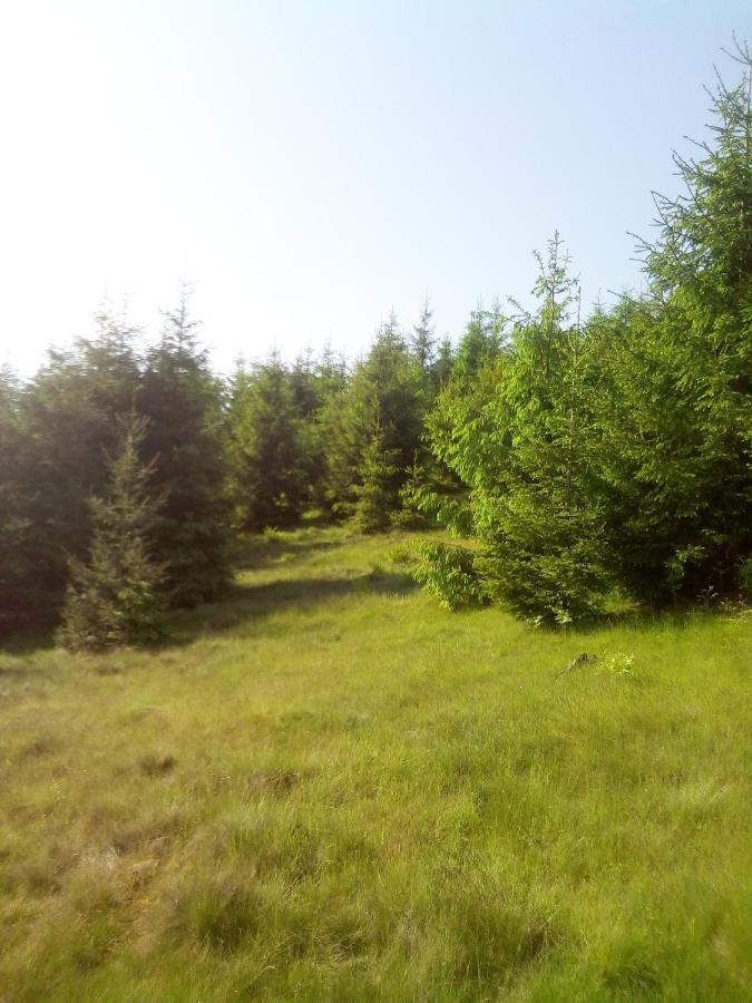 Sadyba U Vani Volovets Buitenkant foto