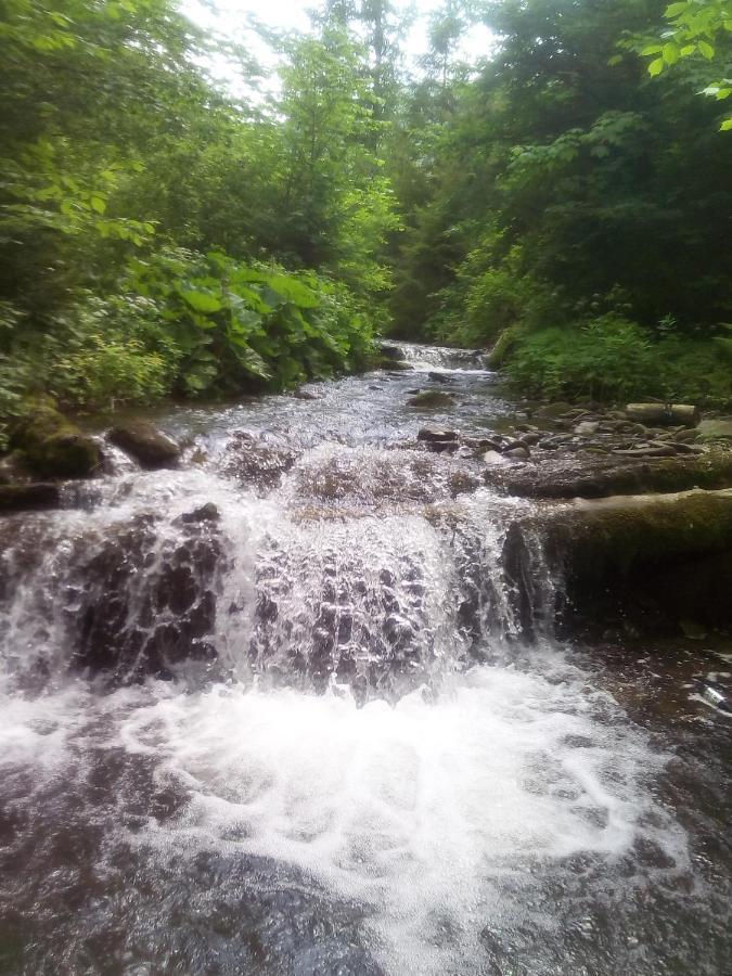 Sadyba U Vani Volovets Buitenkant foto