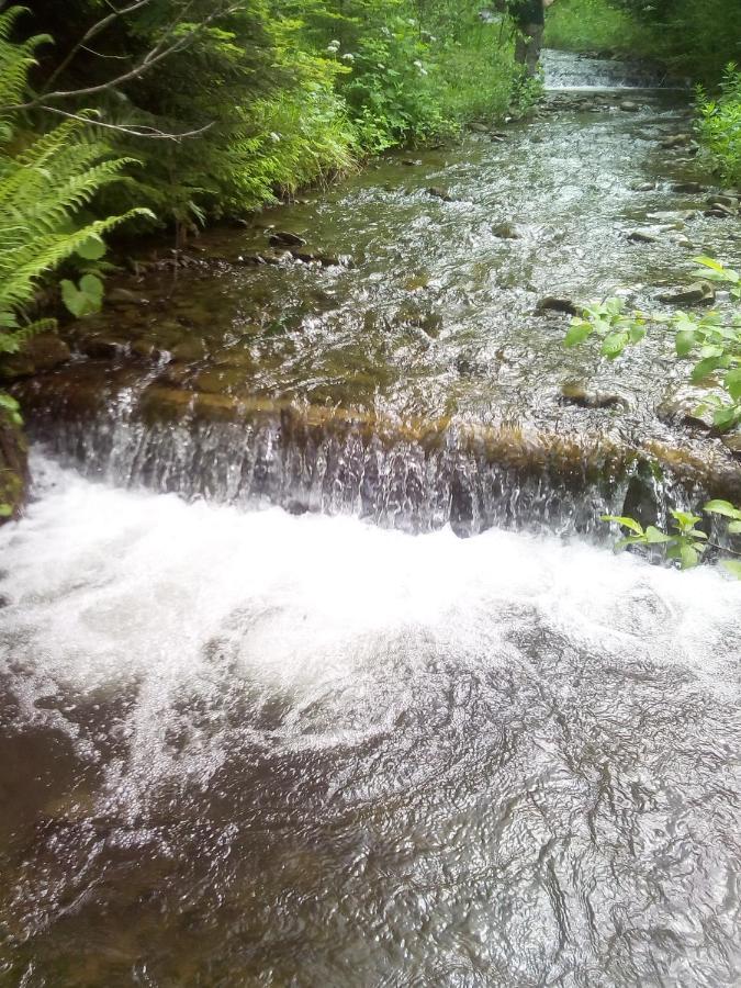 Sadyba U Vani Volovets Buitenkant foto