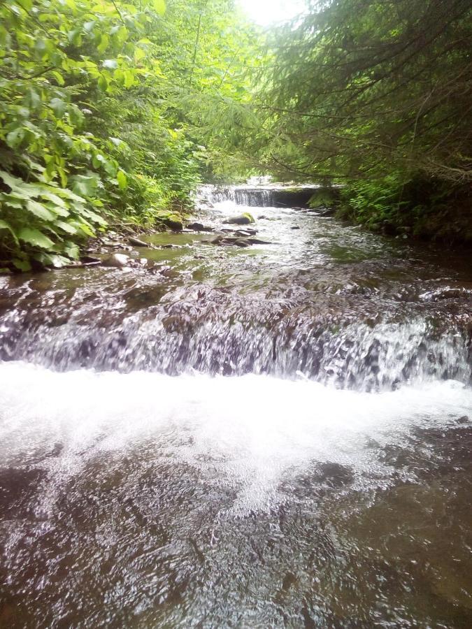 Sadyba U Vani Volovets Buitenkant foto